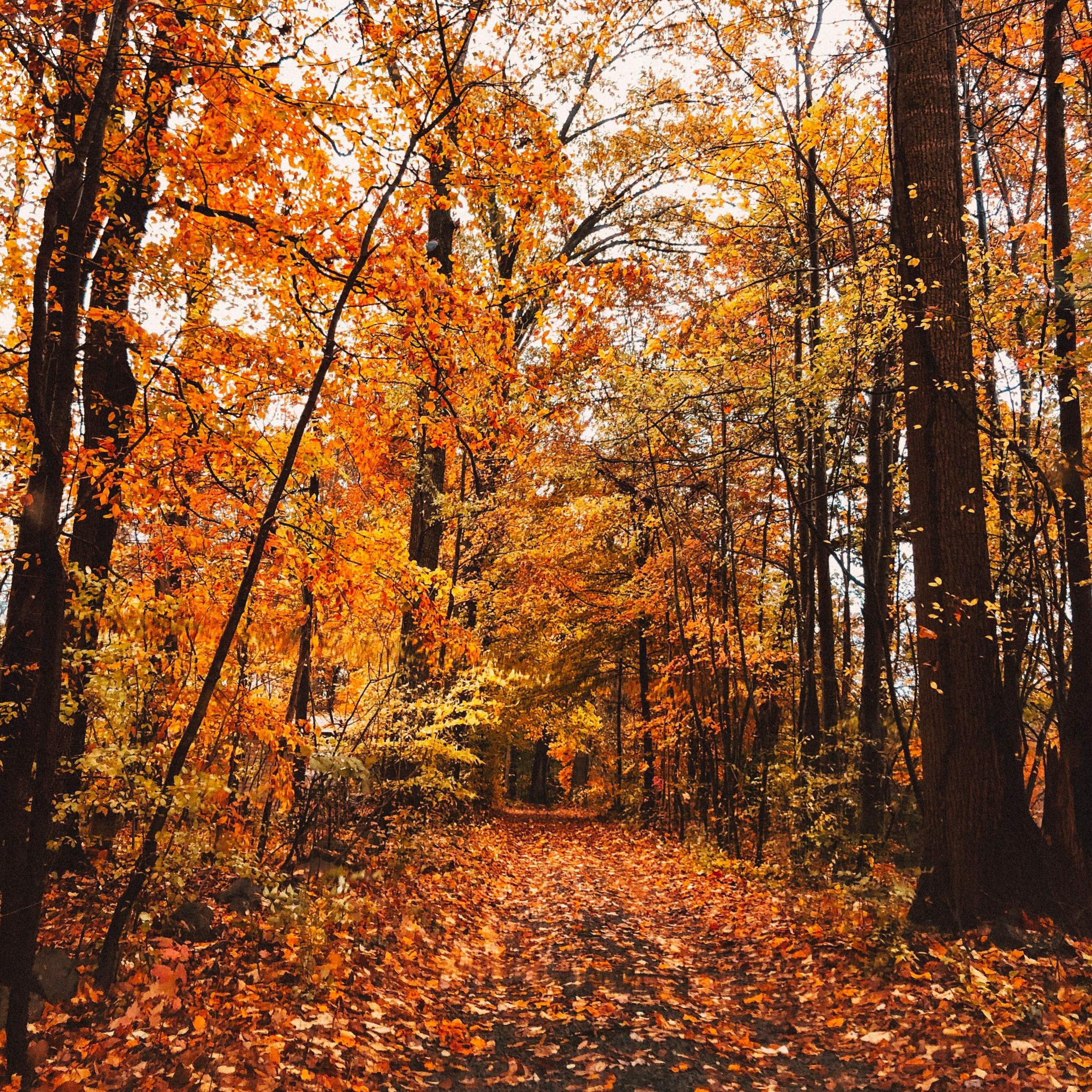 Your Guide to Fall in Southwestern Montana